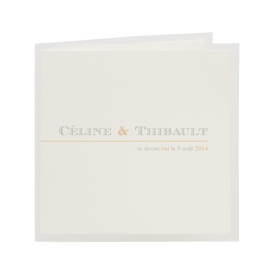Carte pochette transparente (313.065)