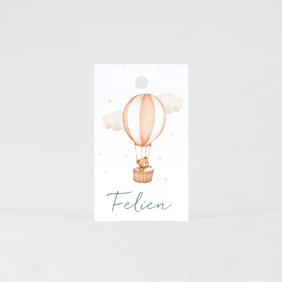 Etiquette ourson dans sa montgolfière (535.035)