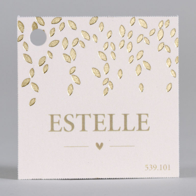 Etiquette rose pâle et feuillage doré (539.101)