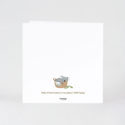 Faire-part naissance koalas rigolos  (581.006)