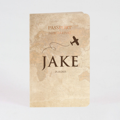 Faire-part naissance passeport avion (581.031)