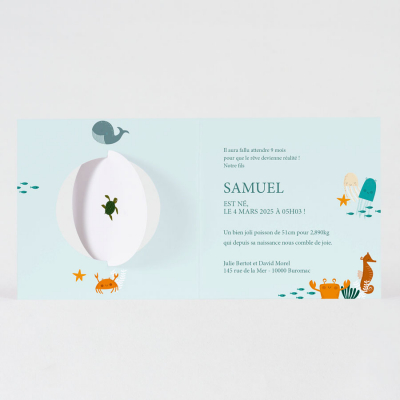 Faire-part naissance marin (581.048)