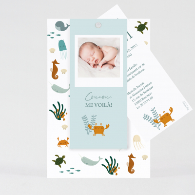Faire-part naissance original moussaillon (581.049)