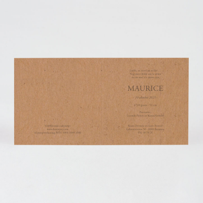 Faire-part naissance éco motif garçon (581.057)