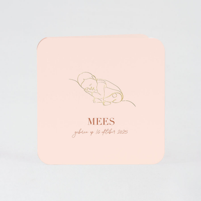Faire-par naissance rose et dorure (581.065)
