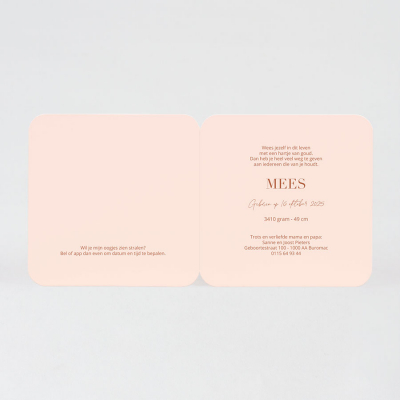 Faire-par naissance rose et dorure (581.065)