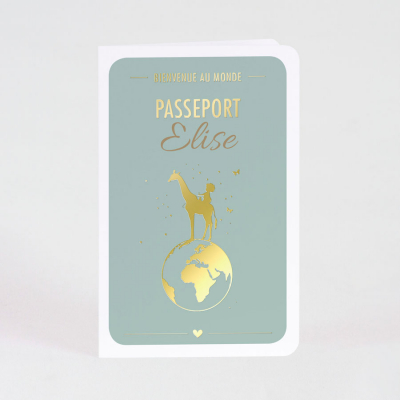 Carte naissance passeport 
 (581.077)