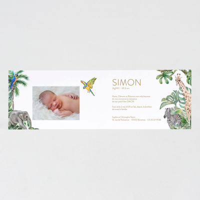 Faire-part naissance forêt tropicale et animaux 
 (581.081)