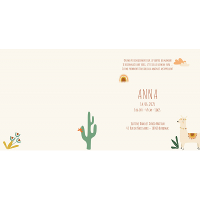 Faire-part lamas et motifs colorés
 (581.094)