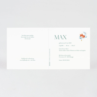 Faire-part naissance petit renard endormi  (585.006)