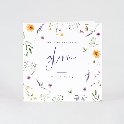 Faire-part naissance fleurs des champs (585.009)