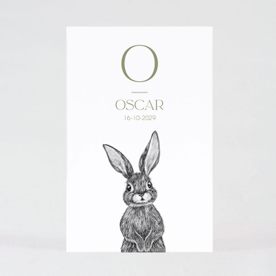 Faire part naissance joli lapin (585.013)