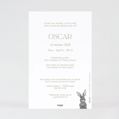 Faire part naissance joli lapin (585.013)