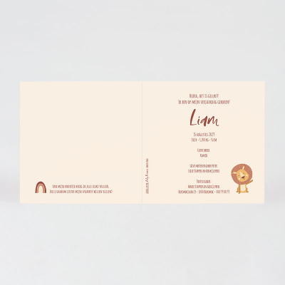 Faire-part naissance lionceau joyeux (585.019)