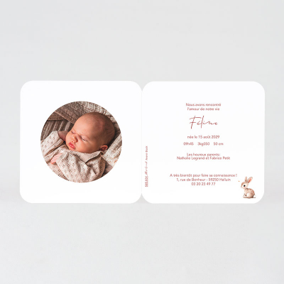 Faire-part naissance couronne de fleurs et petit lapin (585.031)