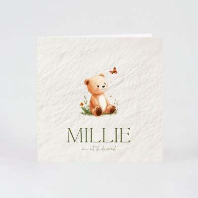 Faire-part naissance petit nounours sur fond naturel (585.032)