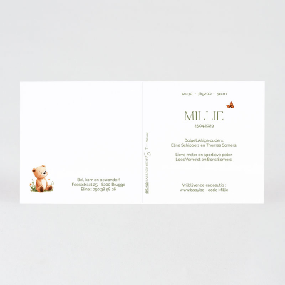 Faire-part naissance petit nounours sur fond naturel (585.032)