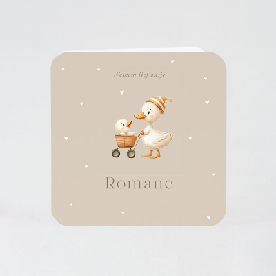 Faire-part naissance canard avec poussette (585.033)