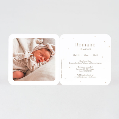 Faire-part naissance canard avec poussette (585.033)