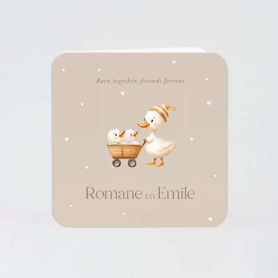Faire-part naissance canard pour jumeaux (585.034)