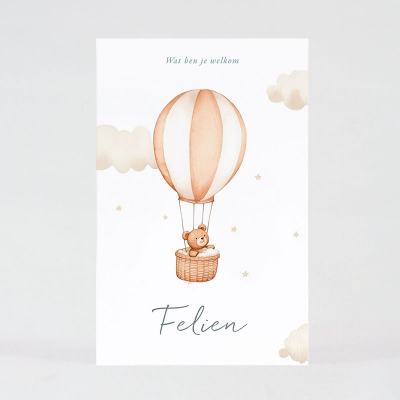 Faire-part naissance petit ours dans sa montgolfière (585.035)