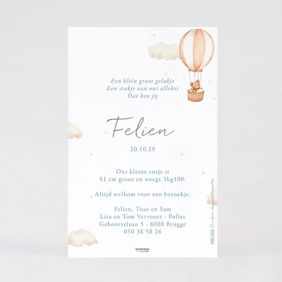 Faire-part naissance petit ours dans sa montgolfière (585.035)