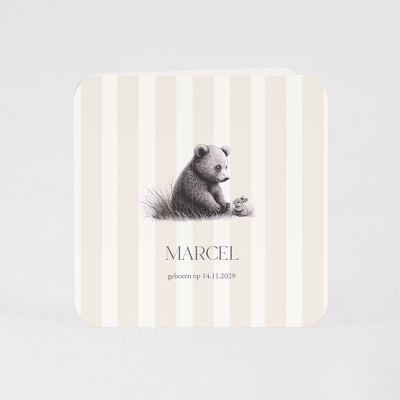Faire-part naissance ourson et petit lapin  (585.036)