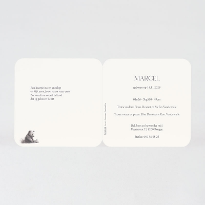 Faire-part naissance ourson et petit lapin  (585.036)
