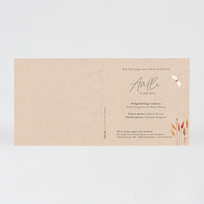 Faire-part naissance libellule et son jardin (585.038)