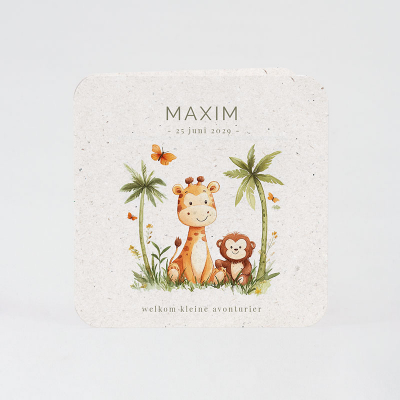 Faire-part naissance animaux de la jungle (585.046)