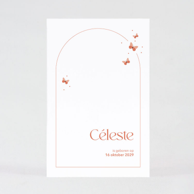 Faire-part naissance papillons et arche graphique (585.060)
