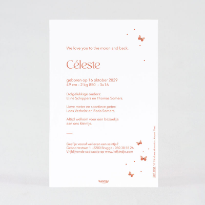 Faire-part naissance papillons et arche graphique (585.060)
