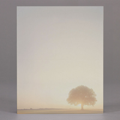 Billet Arbre (620.181)