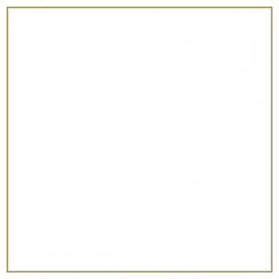 Billet double bord marron  (636.902)