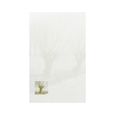 Carte civile double arbres sans feuillage dans cadre  (640.042)