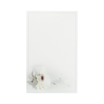Carte civile double allongée crème gerbera  (640.095)