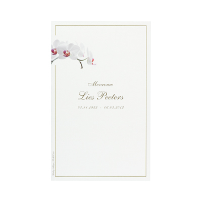 Carte allongée civile crème orchidée  (642.111)