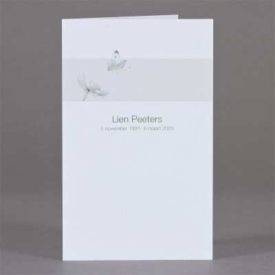 Carte double papillon (642.165)