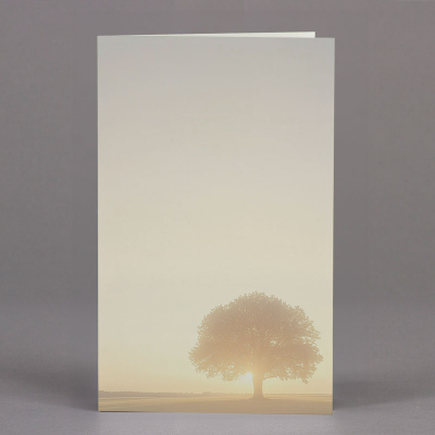 Carte double Arbre - par 2 (642.281)