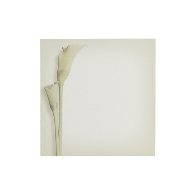 Souvenir mortuaire callas verts  (652.082)