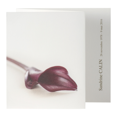 Triptyque arum bordeaux (652.140)