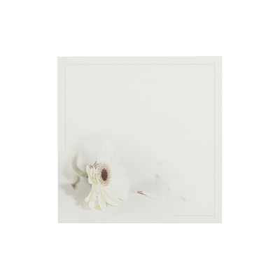 Souvenir mortuaire civil crème gerbera (654.005)
