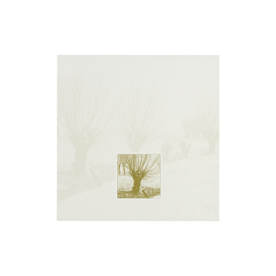 Souvenir mortuaire arbres sans feuillage dans cadre  (658.042)