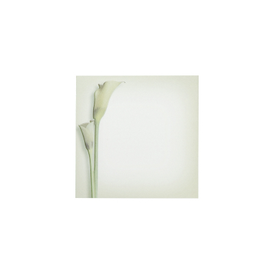 Souvenir mortuaire double callas verts  (662.082)