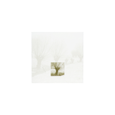 Souvenir mortuaire arbres sans feuillage en coupon (668.042)