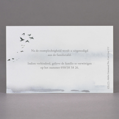 Carte remerciement oiseaux & aquarelle - en coupon de 2 (671.171)