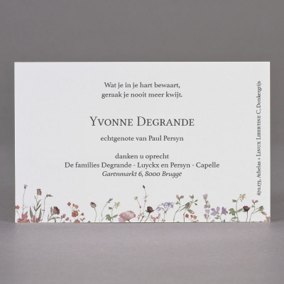 Carte remerciement fleurs des champs rouges - en coupon de 2 (671.173)