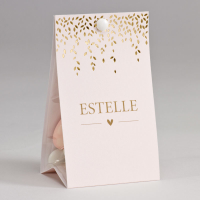 Etui à dragées rose pâle et feuillage (749.001)