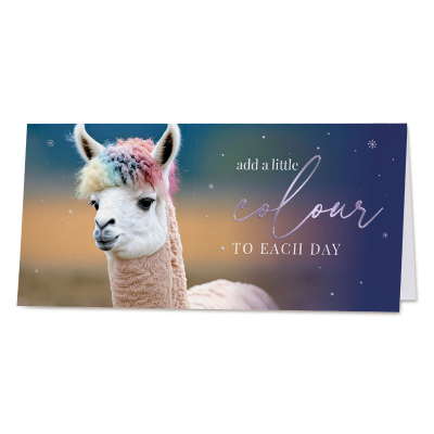 Carte de vœux humoristique lama haut en couleurs (843.087)