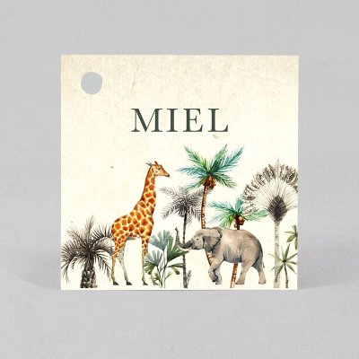 Enkel naamkaartje jungle (531.039)
